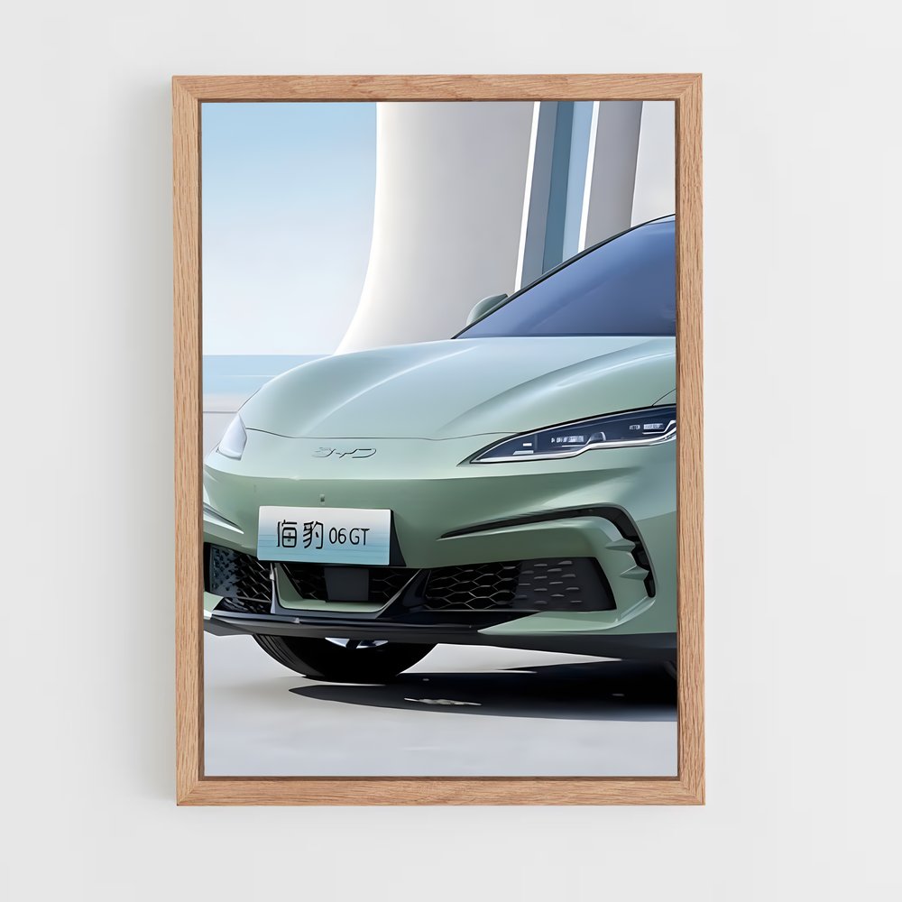 Poster GTZ Envoûtant – affiche BYD (vue 4)